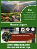 Чай зеленый Gutenberg пакетированный «Молочный улун», 25 шт
